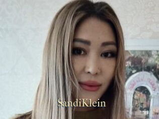 SandiKlein