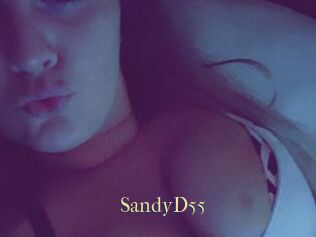 SandyD55