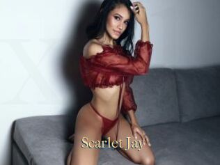 Scarlet_Jay