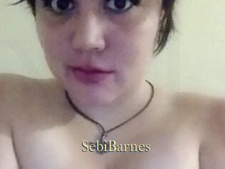 Sebi_Barnes