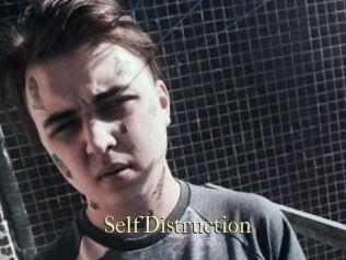 SelfDistruction