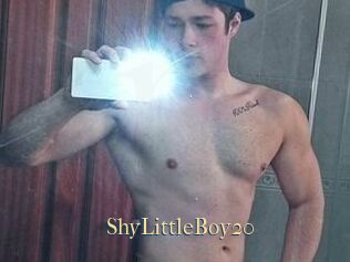 ShyLittleBoy20