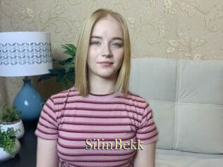 SilinBekk