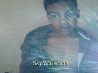 SkyWalker88