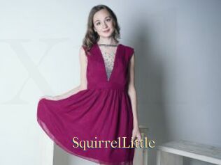 SquirrelLittle