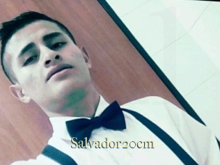 Salvador20cm