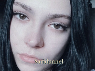 Saridunnel