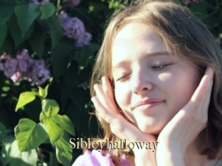 Sibleyhalloway
