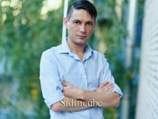 Sid_incube