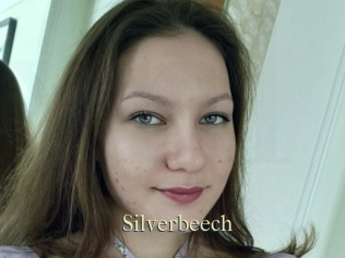 Silverbeech