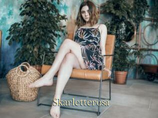 Skarletterosa