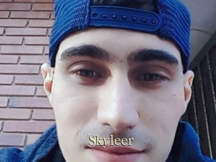 Skyleer