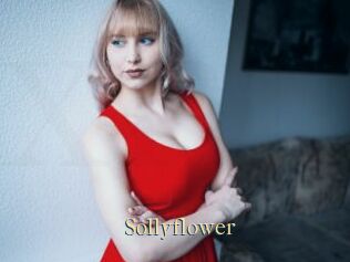 Sollyflower