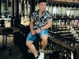 Stevebunny