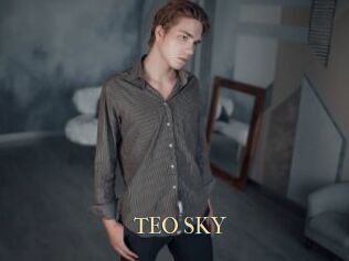 TEO_SKY