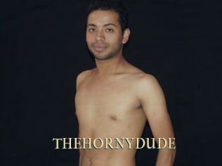 THEHORNYDUDE