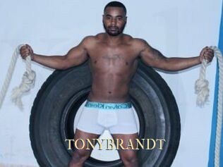 TONYBRANDT
