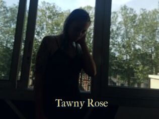 Tawny_Rose