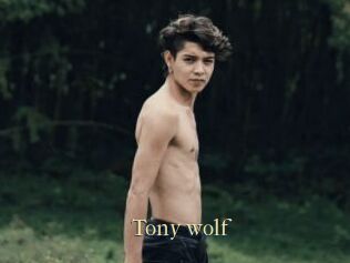 Tony_wolf