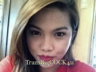 TransBigCOCK4u