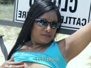 Triniheat