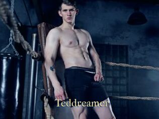 Teddreamer