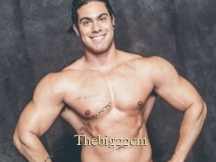 Thebig22cm