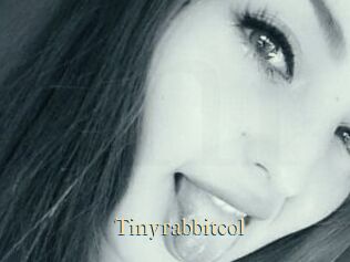 Tinyrabbitcol