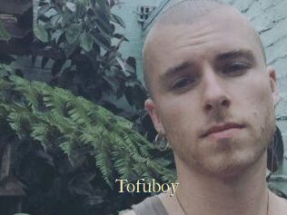 Tofu_boy