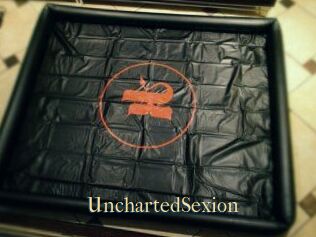 UnchartedSexion