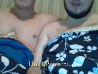 UncutPenis0214