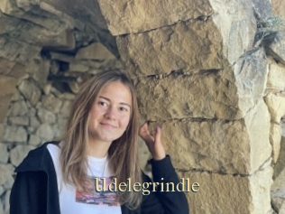 Udelegrindle