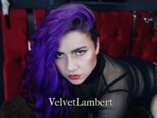 VelvetLambert