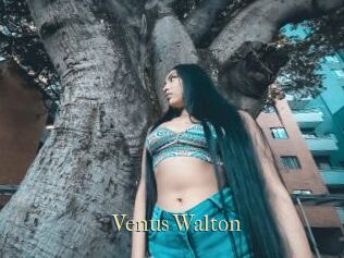 Venus_Walton