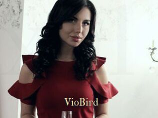 VioBird