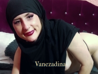 Vanezadina