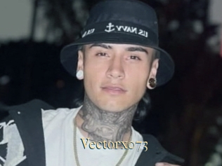 Vectorx073