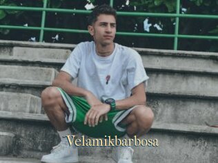 Velamikbarbosa