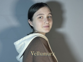 Vellumurr
