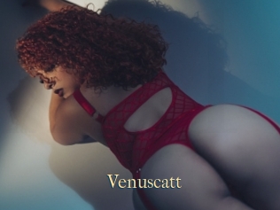 Venuscatt