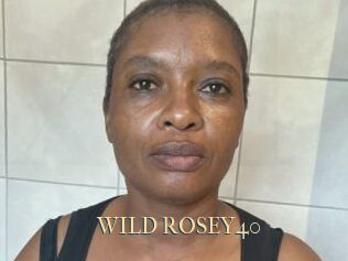 WILD_ROSEY40