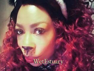 WetEstuary