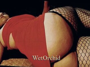WetOrchid