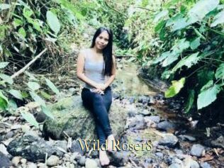 Wild_Rose18
