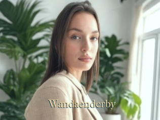 Wandaenderby