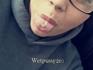 Wetpussy210