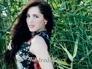 Wildredflower