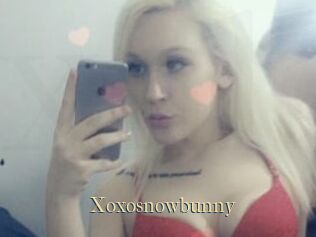 Xoxosnowbunny