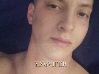 YNGVIPER
