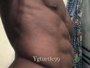 Ygturtle99